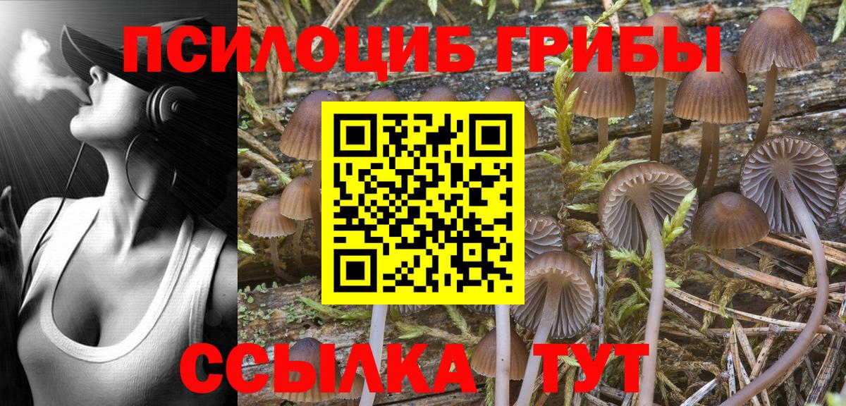 Галлюциногенные грибы мухоморы Ярцево